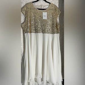 Sequin top dress with sheer layered bottom